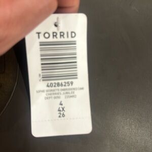 Torrid Sophie Georgette Embroidered Cami in Cherries Jubilee